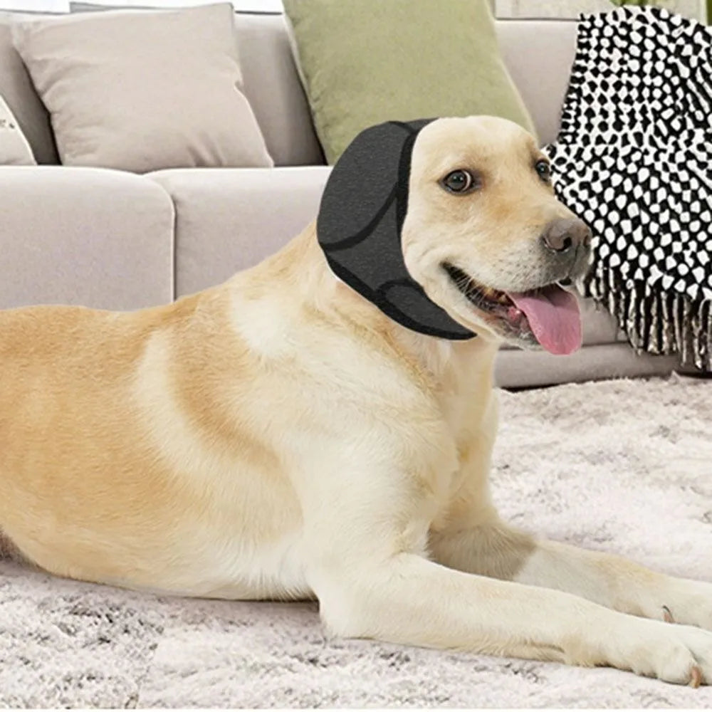 Perro tranquilo en casa con la Capucha Meravero puesta