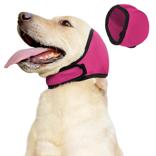 Perro labrador usando la Capucha Anti-Estrés Meravero en color rosa