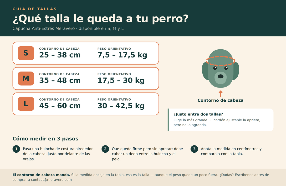 Guía de tallas Meravero: S 25–38 cm, M 35–48 cm, L 45–60 cm de contorno de cabeza, y cómo medir a tu perro en 3 pasos